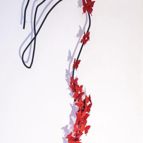 delicadeza
